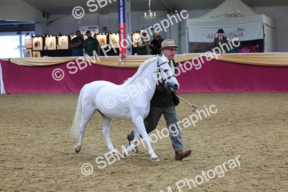 SBM_19449 - Class 901 - Supreme Final - IH Diamond