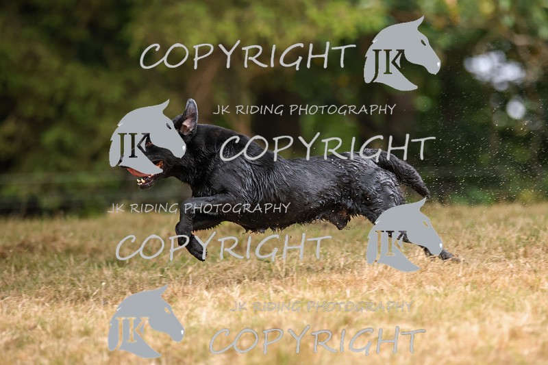 2R6A3495 - ​TEAM A: BORDER COUNTIES & COTSWOLDS 1-2-3