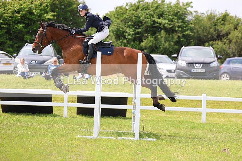 3E7A7534 - Class 13: Senior British Novice/90cm open