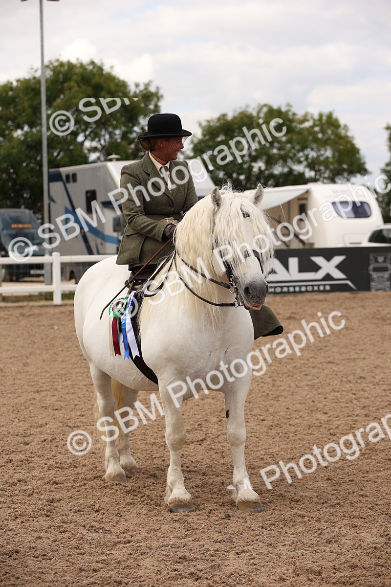 SBM_05511 - Class 22 SSA Equitation