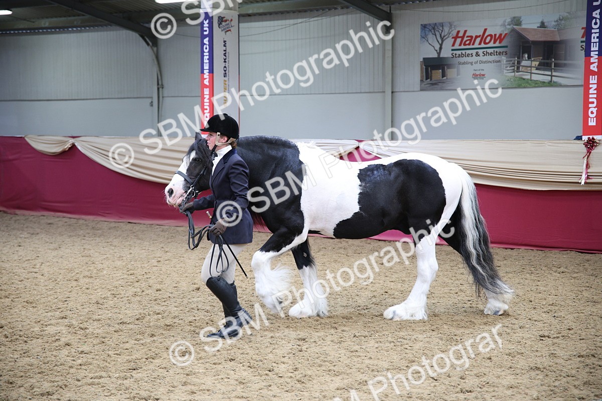 SBM_24729 - Class 906 - Supreme Final - Ridden Pre Vet