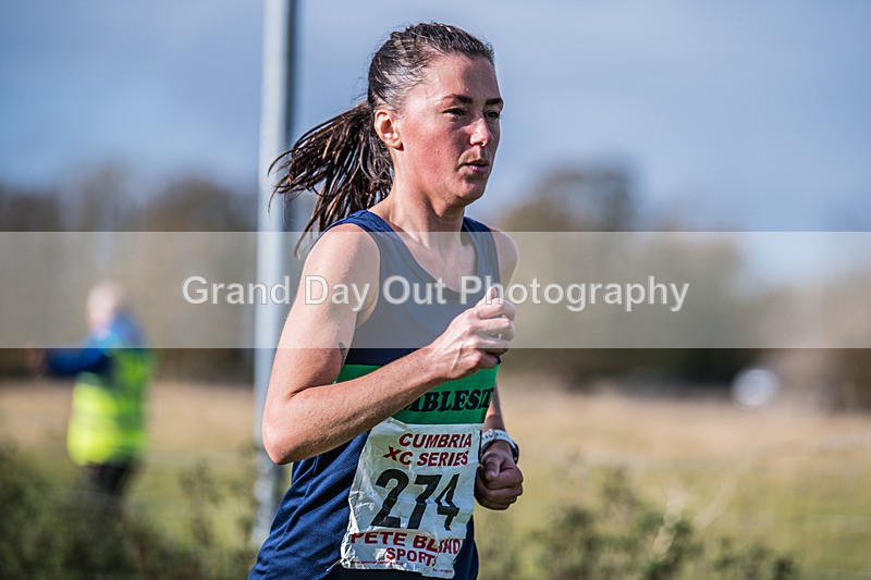 Cumbria XC-953 - Cumbria XC League Workington Saturday 26th October 2024