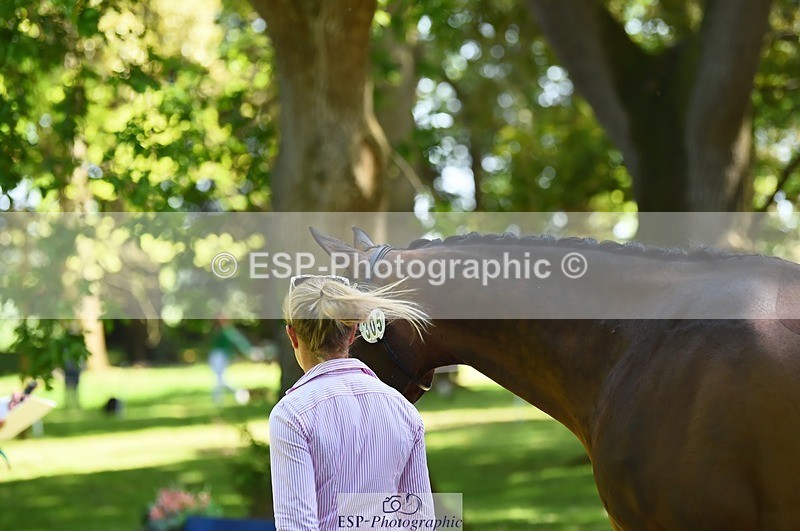 230524-150406-00046 - 305-BARRINGTON_57-Izzy_Taylor-WEDTrotUp+DR