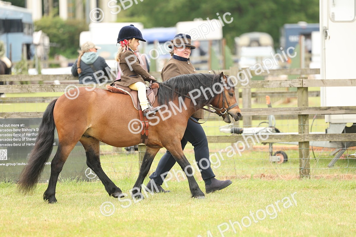 SBM_06665 - Class 74-75 - M&M Lead Rein and First Ridden Pony