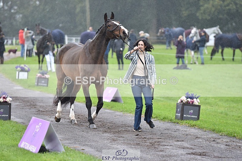 231018-121032-00116 - 013-CRIME.SCENE-Alexandra.Heard-TrotUp