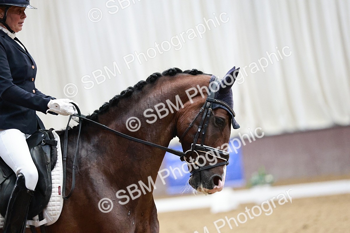 SBM_006499 - Class 11 - Elementary 6 Gold - 14.12-15.00