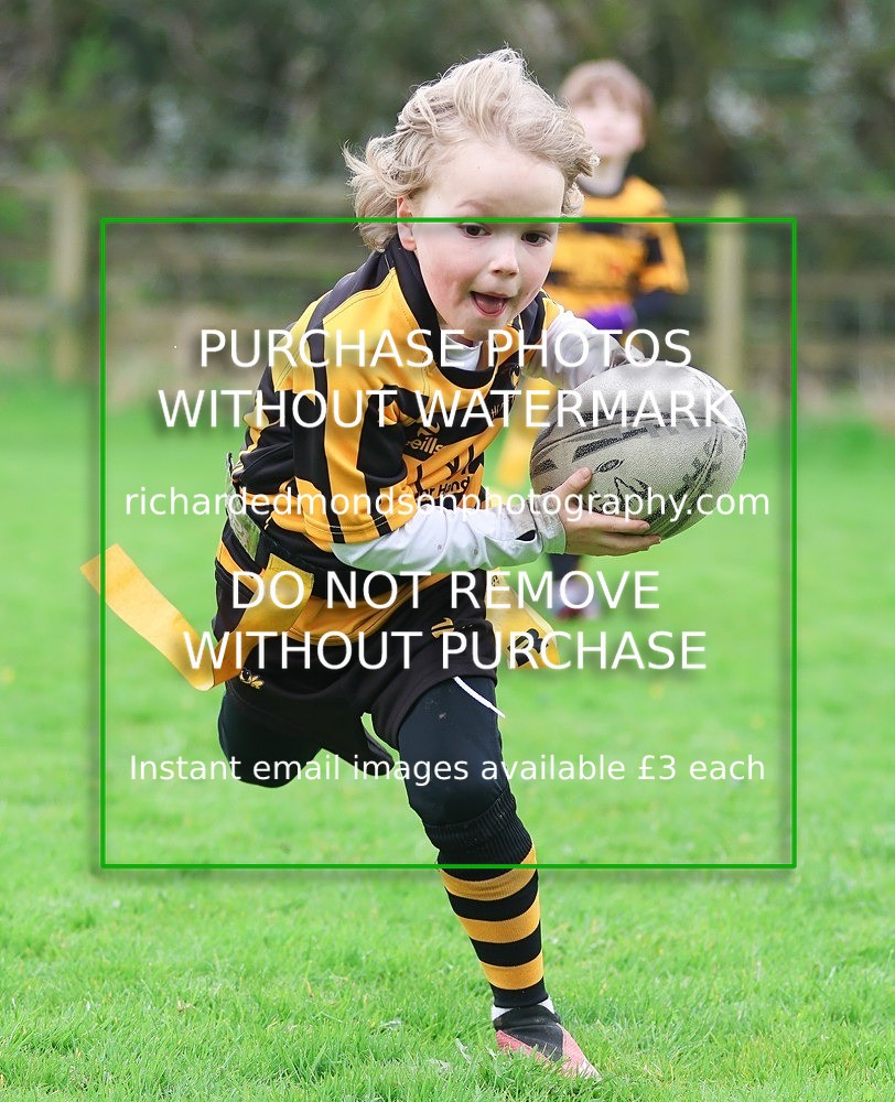 533A4946 - Kendal Rugby Mini & Youth (Sunday 12/4/26)