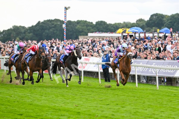 240824-Race 1-See The Fire-0969 - Race 1 1.50pm Sky Bet Strensall Stakes