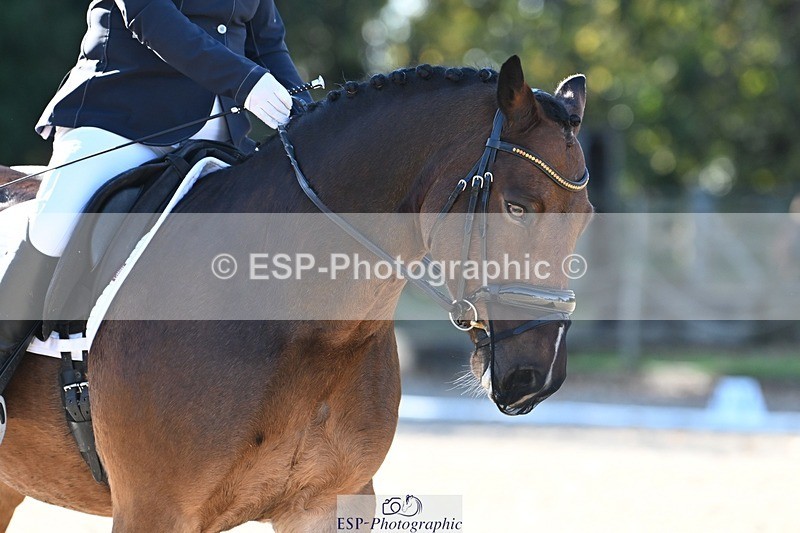 231110-110734-00325 - Cls 2 Prelim 17(a)Q