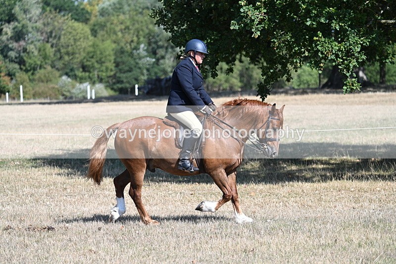 WJ7_3848 - Class 9 Mountain & Moorland Ridden