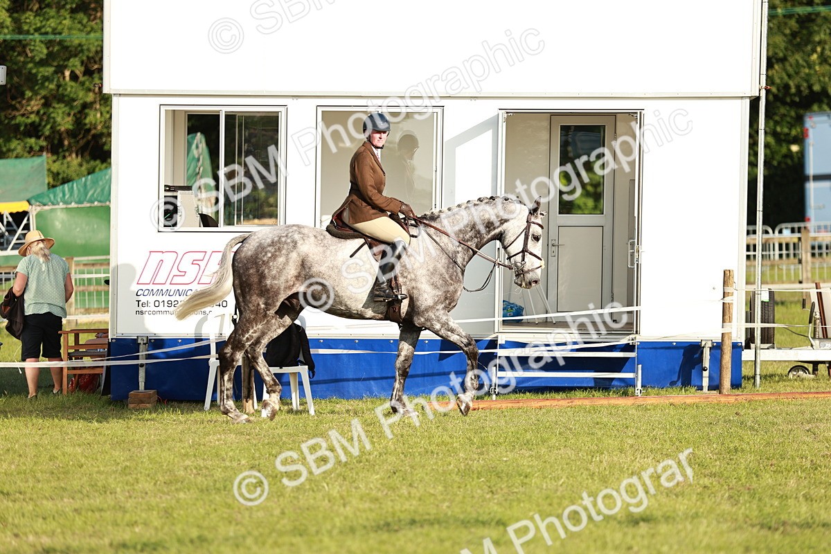 SBM_20426 - Class 117-119 - Sport Horse Working Hunter