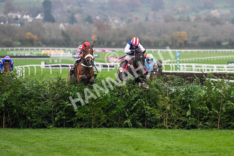 151124-Race 4-Sweet David-8201 - Race 4