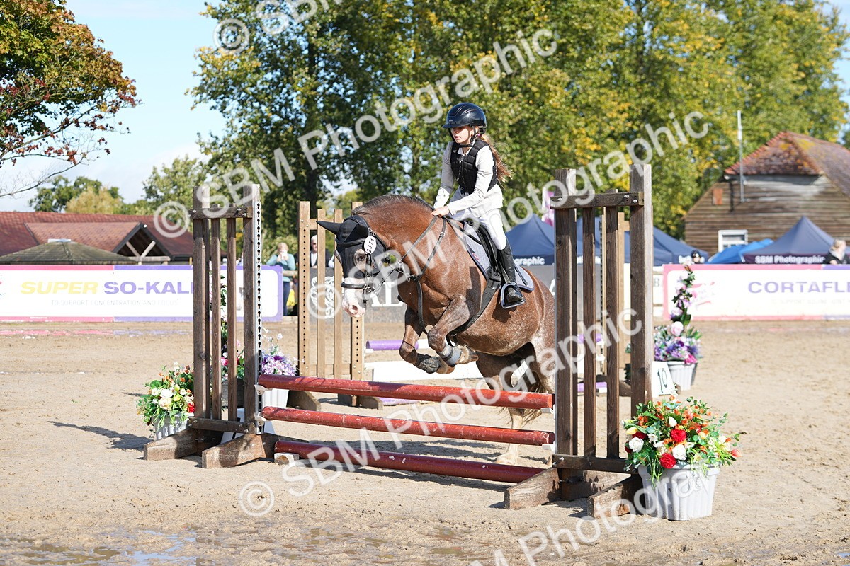 SBM_38286 - J6 - Junior Pony 55cm Championship