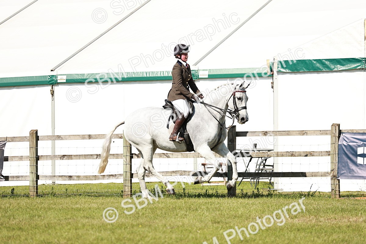 SBM_18877 - Class 114 - RIHS & SEIB Open Working Show Horse