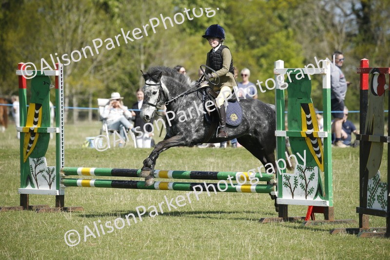 20250427-2151 - Class 13 - Novice Jumping 60cm