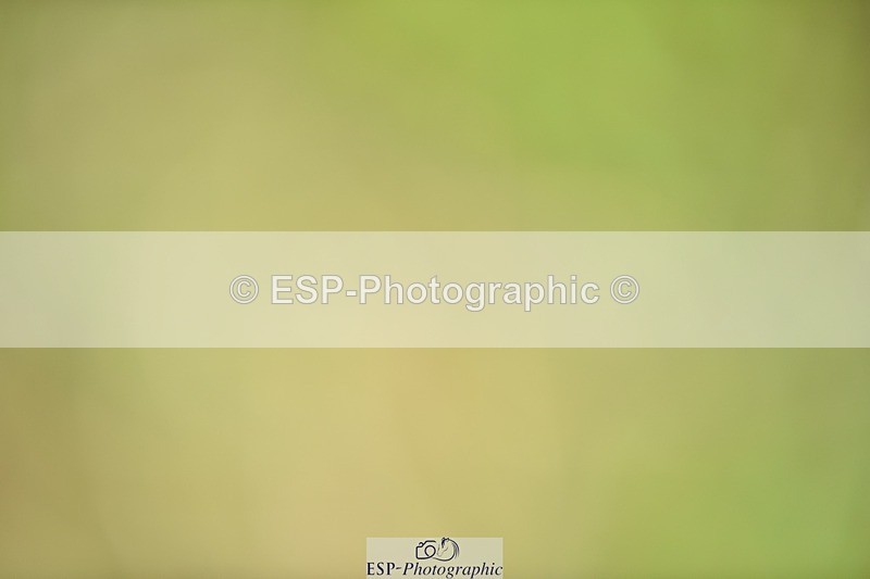 240523B-101154-01715 - 4 Year Old