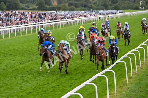 220824-Race 6-Angel Hunter-7822 - Race 6 4.45pm sensory-junction.co.uk Autism Awareness EBF Stallions Nursery Handicap