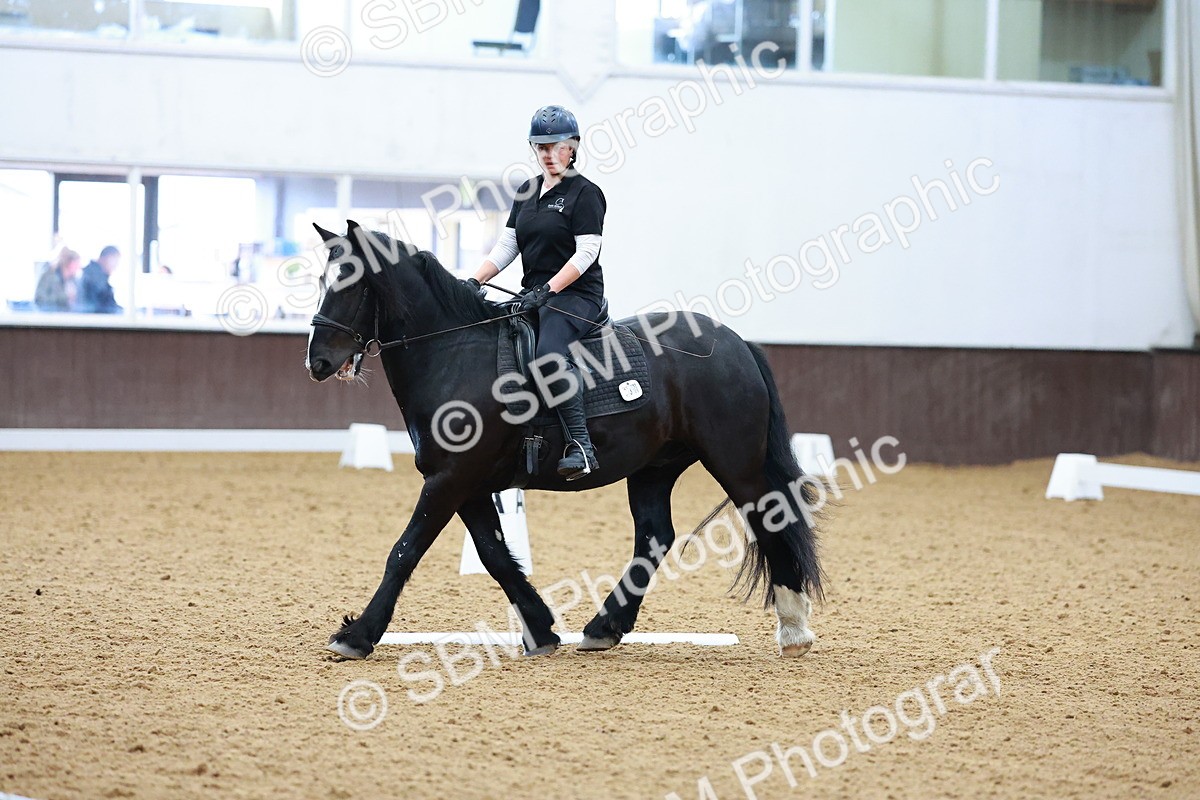 1I0A0790 - Class 3-6 - Prelim 1-Novice 2