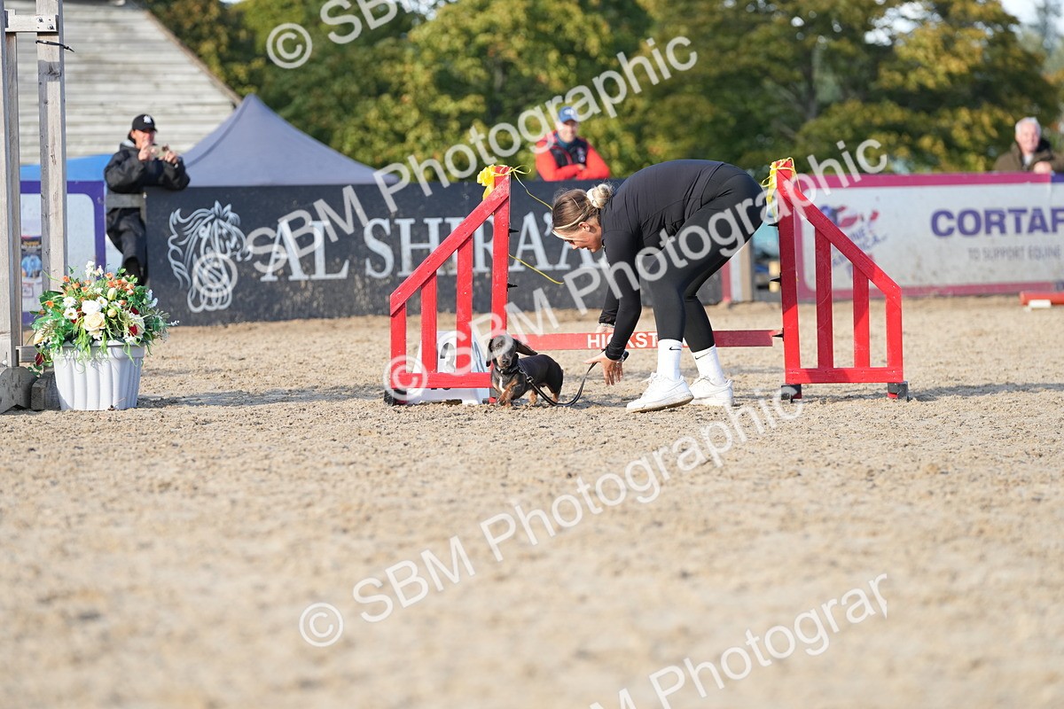 SBM_29037 - J43 - Horse & Hound Open 50cm