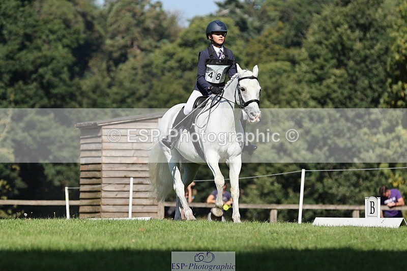 250823A-101143-26779 - Arena D