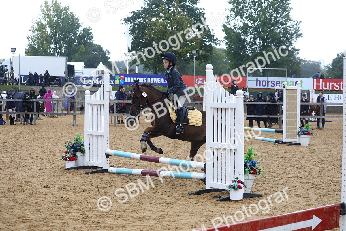 SBM_71498 - J4 - Mini Tour Junior Pony 45cm Championship