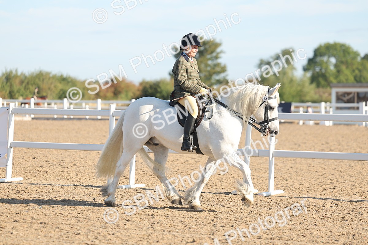 SBM_10962 - Class 302 - Ridden M&M Large Breeds