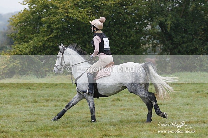 WWHT 171021 0536 - Novice Restricted (0.80m)  17/10/21