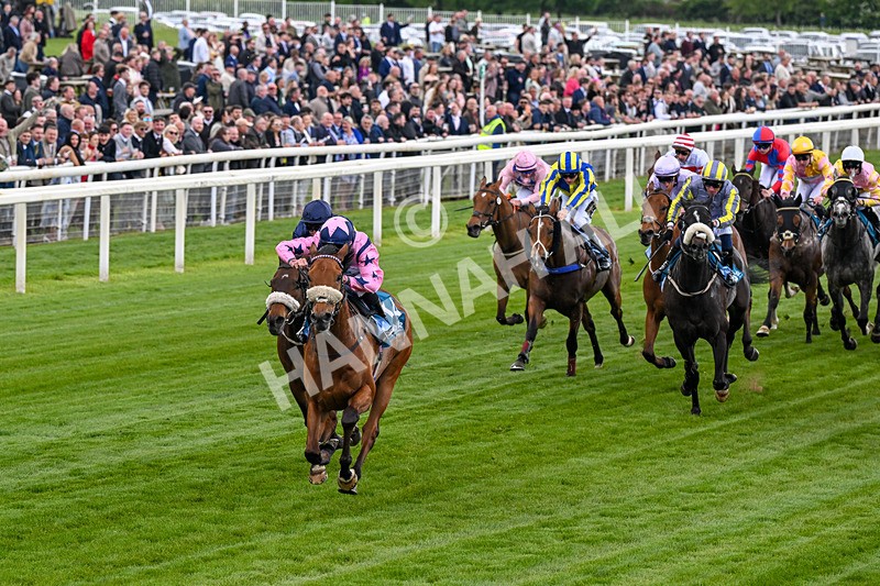 150526-Race 1-Zarathos-0046 - Race 1 1.45pm Yorkshire Equine Practice Handicap
