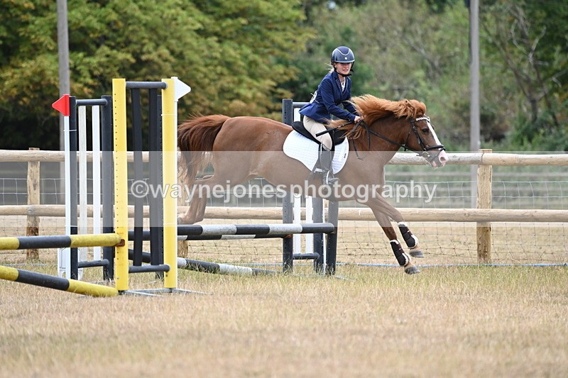 WJ6_0389 - Class 13 Novice Jumping 60cm