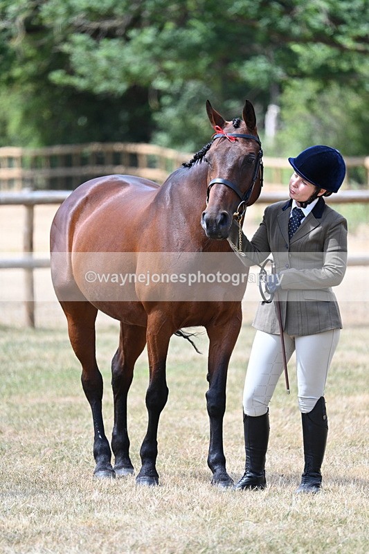 WJ7_2016 - Class 4a Prettiest Mare 14.2hh and over hand