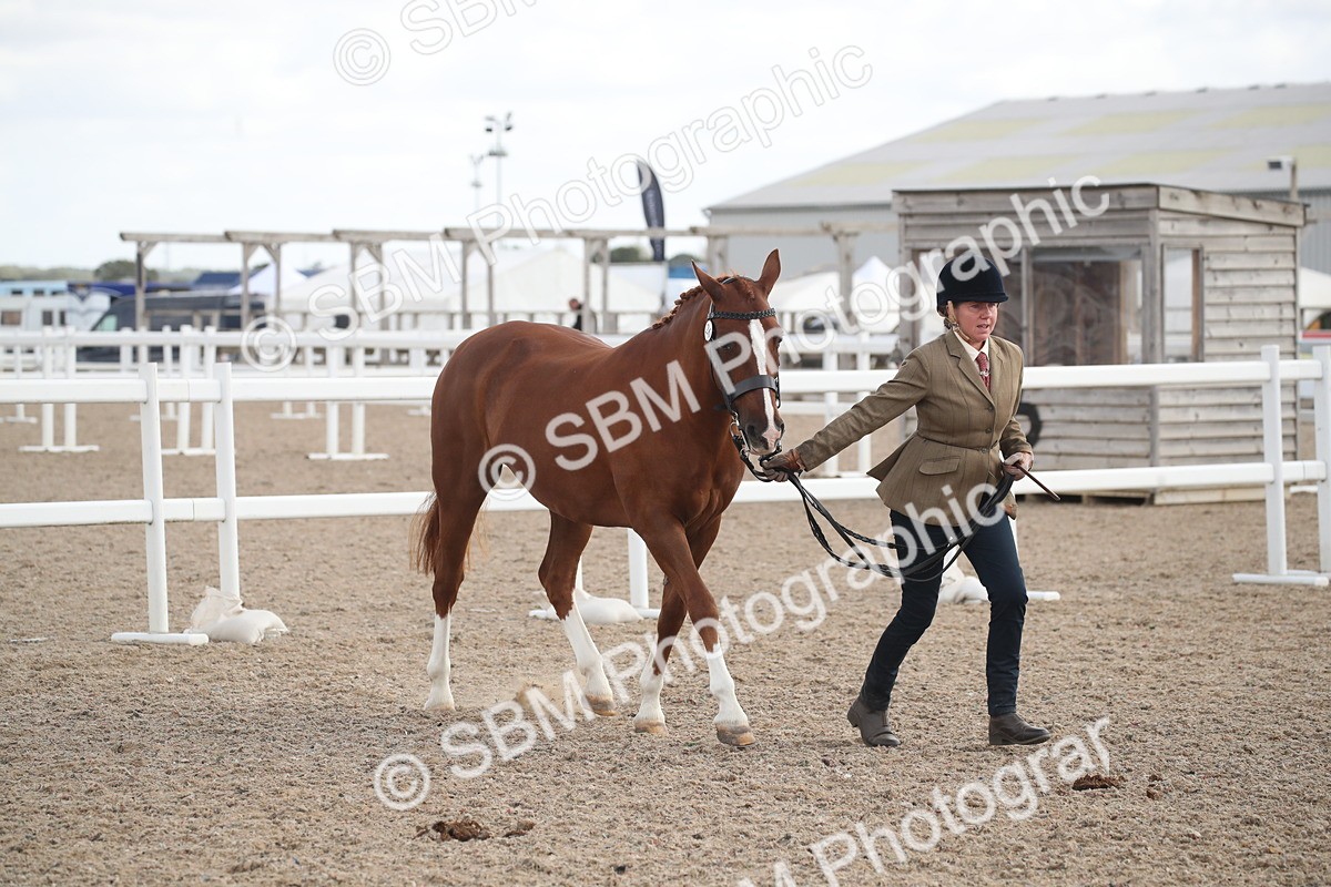 SBM_23448 - Class 604 - 2026 - Area IH Diamond