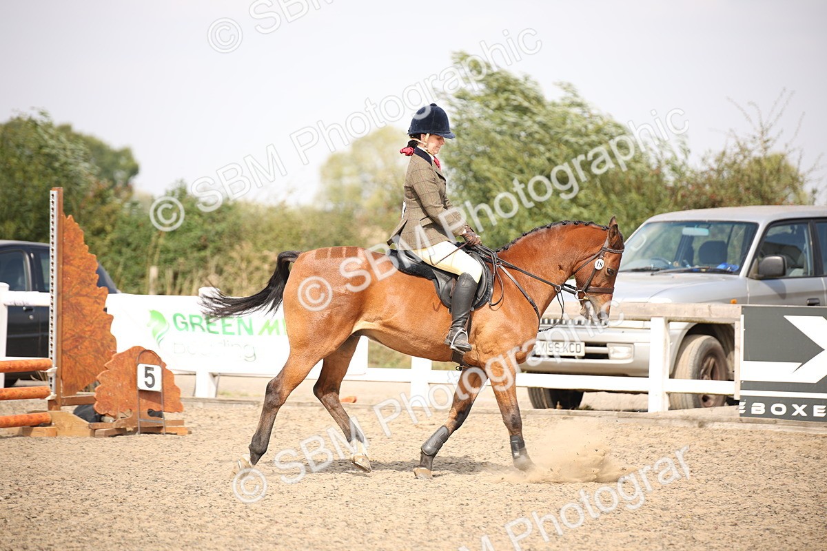 SBM_14138 - Class 407a - Working Veteran 60cm (15-19