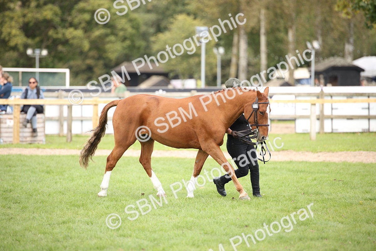 SBM_44469 - S24 - Young Veteran in hand