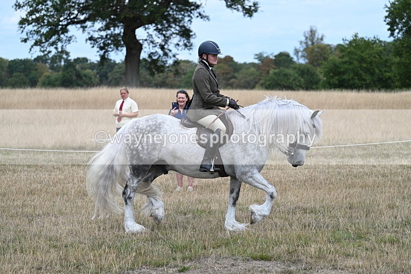 WJ7_4769 - Class 12 Ridden Cob