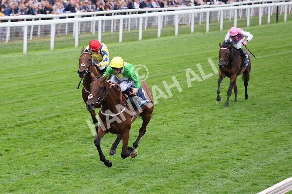 yr22072022r5-21 - Race 5 7.20pm British Stallion Studs EBF Lyric Fillies' Stakes