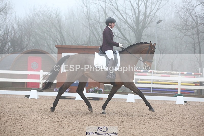 240217A-094526-00834 - 114-kelly.jewell-Juno.Watt