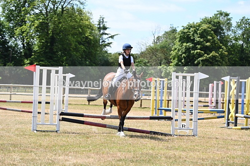 WJ6_5728 - Class 13 Novice 60cm
