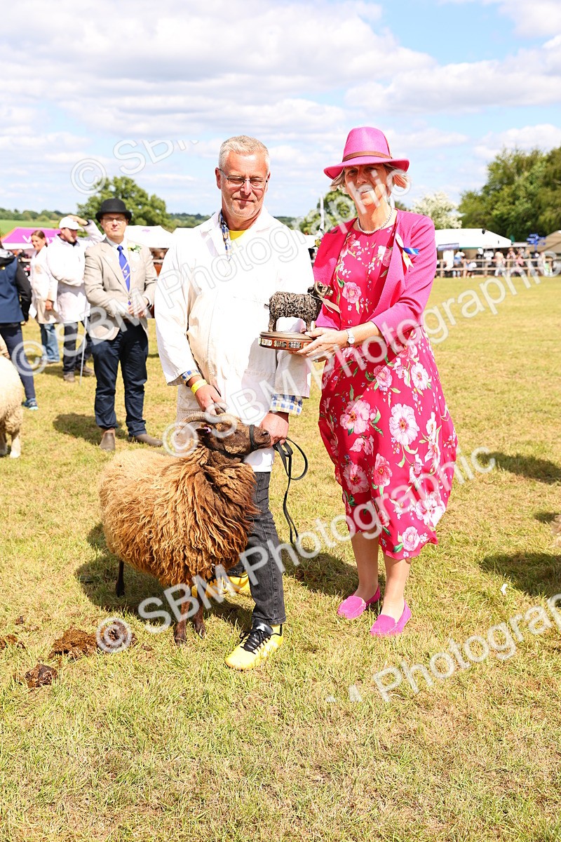 SBM_17001 - Grand Parade