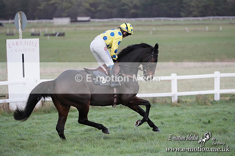 PtP 011224 300 - Hursley Hambledon Point-to-Point Larkhill 01/12/24