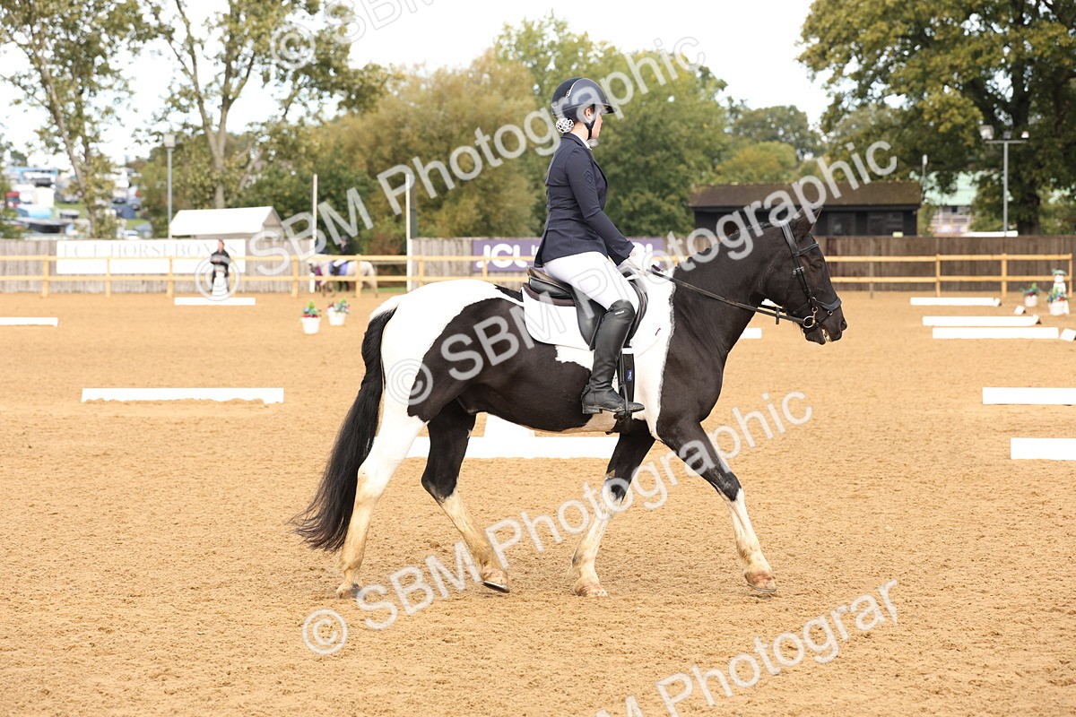 SBM_40671 - D6 - Small Tour Championship Intro 4