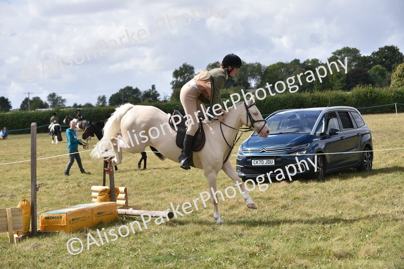 20250831-4084 - Class 13 - Working Hunter Horse or Pony
