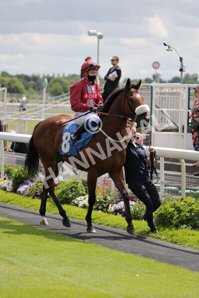 yr11062021r2-9 - Race 2 2.20pm Churchill Tyres Stakes