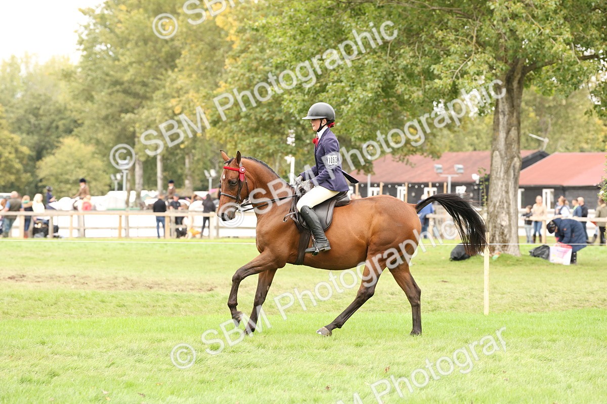 SBM_64248 - S65 - Riding Horse & Hack & Thoroughbred Ridden