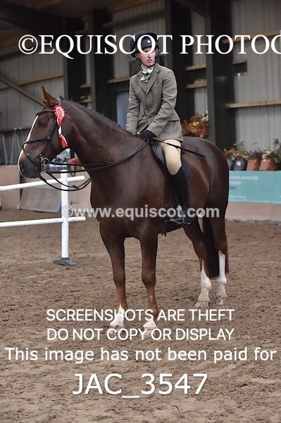 JAC_3547 - CLASS 9 BHS Scotland Riding Club Working Hunter Qualifier
