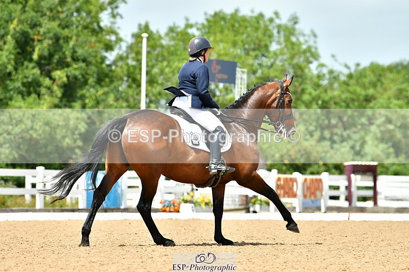 230702A-135034-10104 - Cls 31 Medium 69