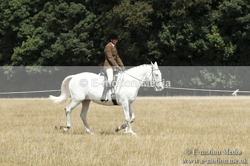 _PJP6004 - BVRC Show 2018 Ring 1