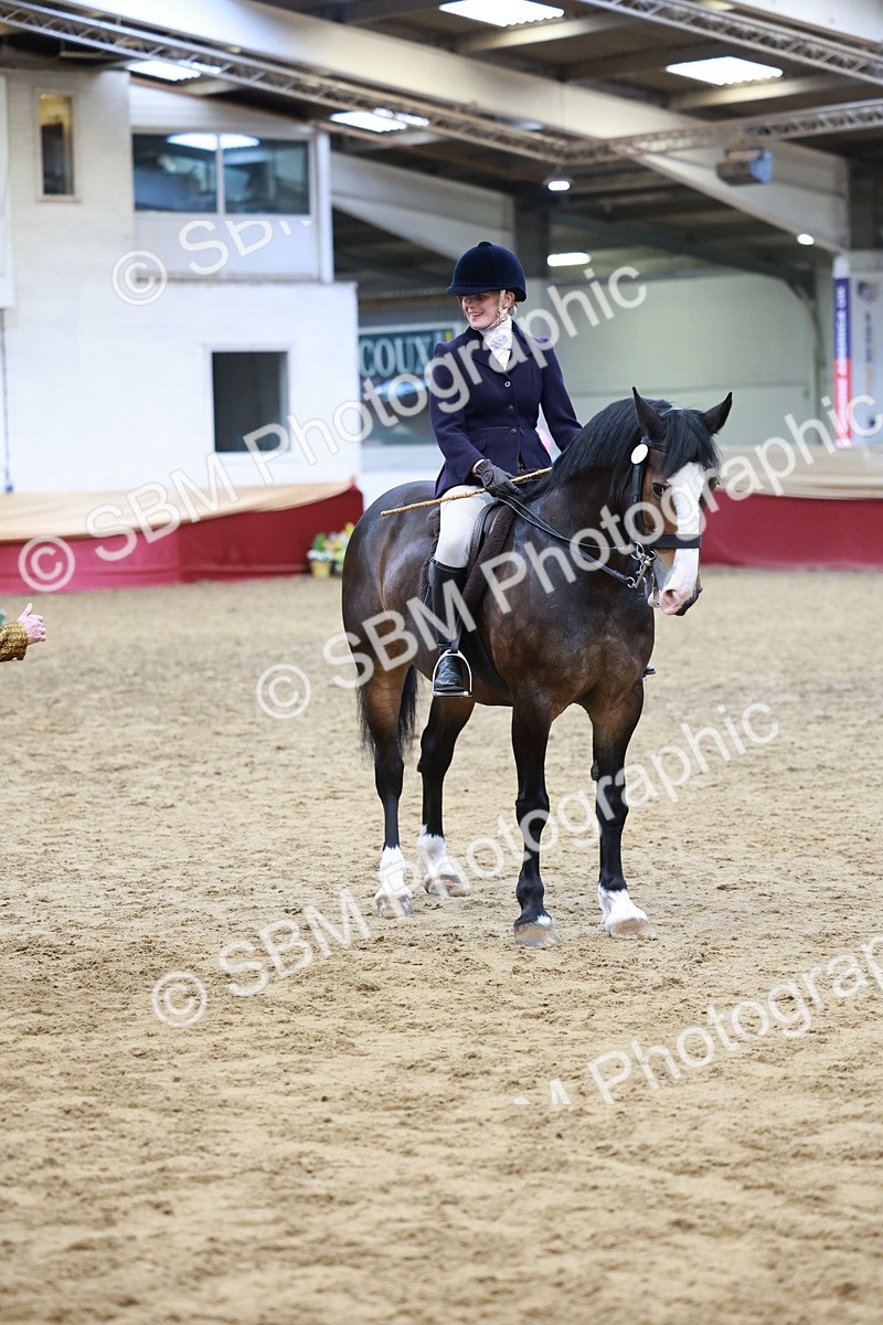 SBM_18609 - Class 952 - M&M Ridden Supreme Final