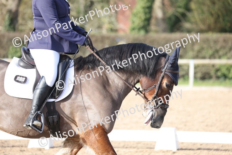 20260214-0720 - Class 6 - Elementary 1