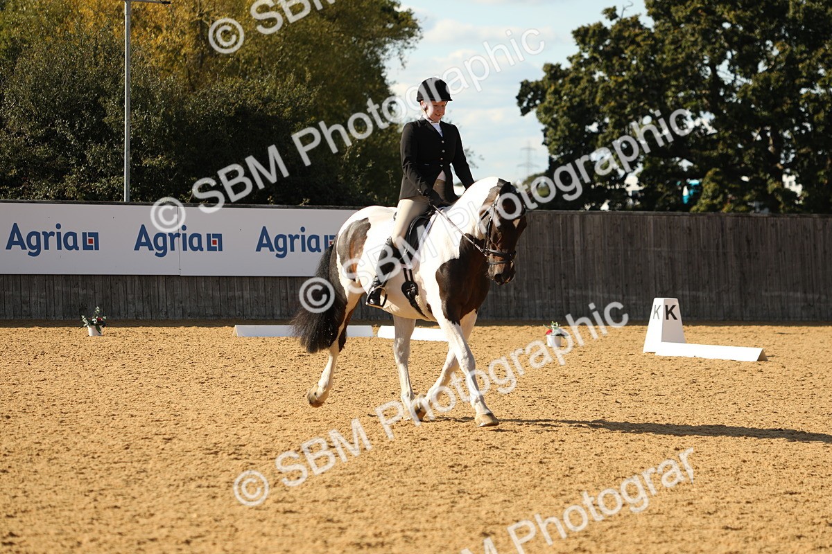 SBM_26818 - D17 - Grand Tour Championship - Novice 27