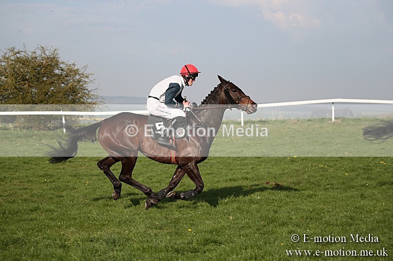 PtP 210418 622 - South & West Wilts Point-to-Point Larkhill 21/04/18